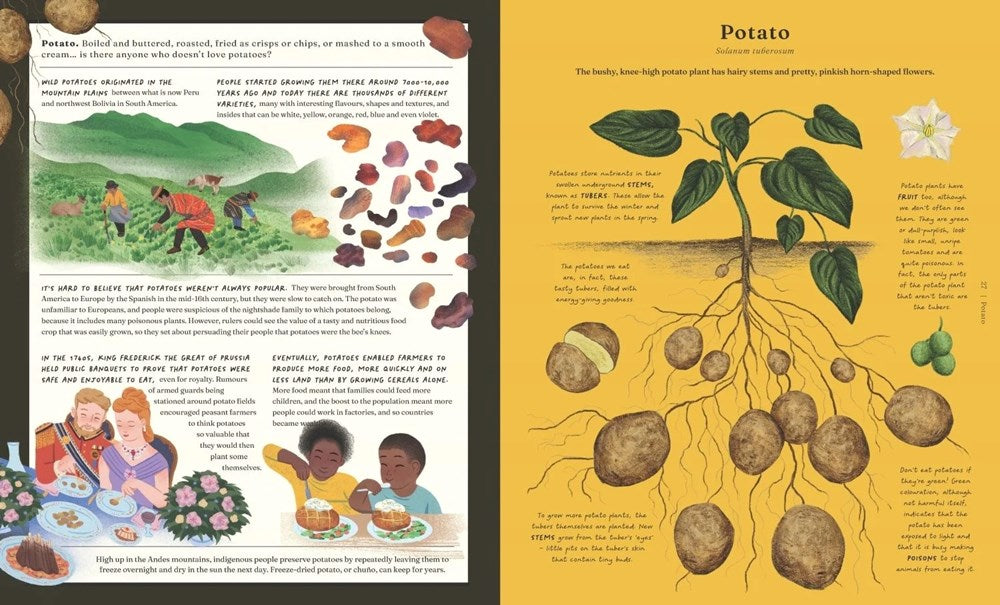 The Stuff that Stuff is Made of