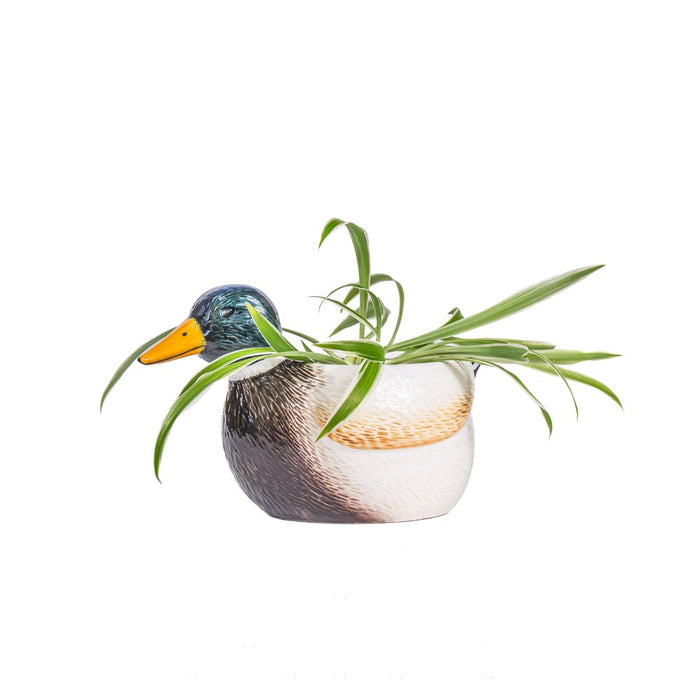 Mallard Duck Mini Planter