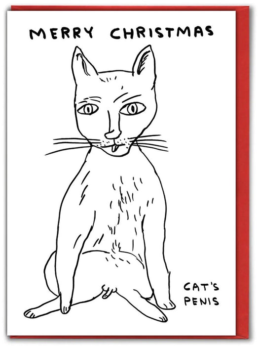 David Shrigley Cat's Penis Christmas Card
