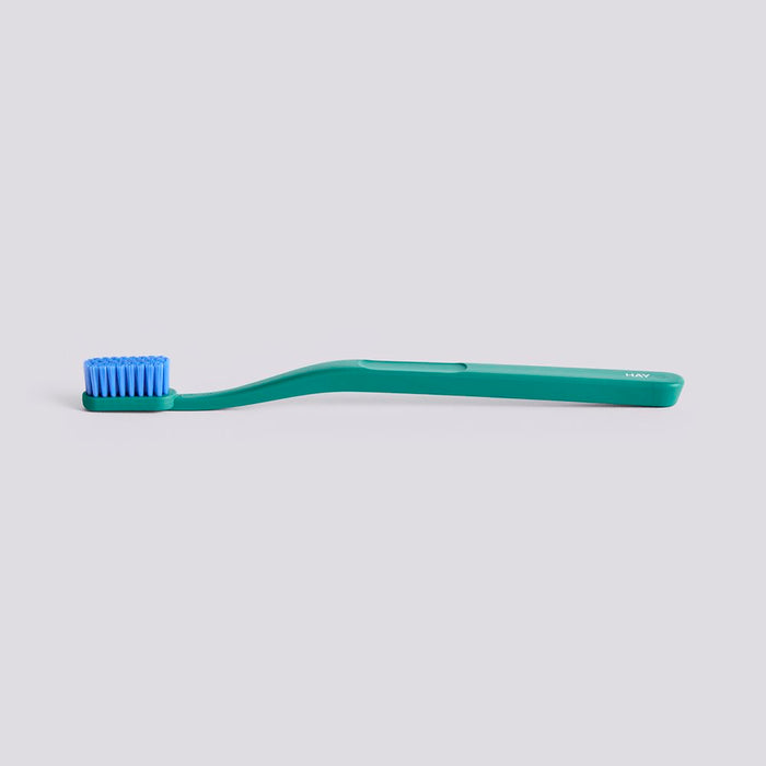 Tann Toothbrush-Pine green and blue
