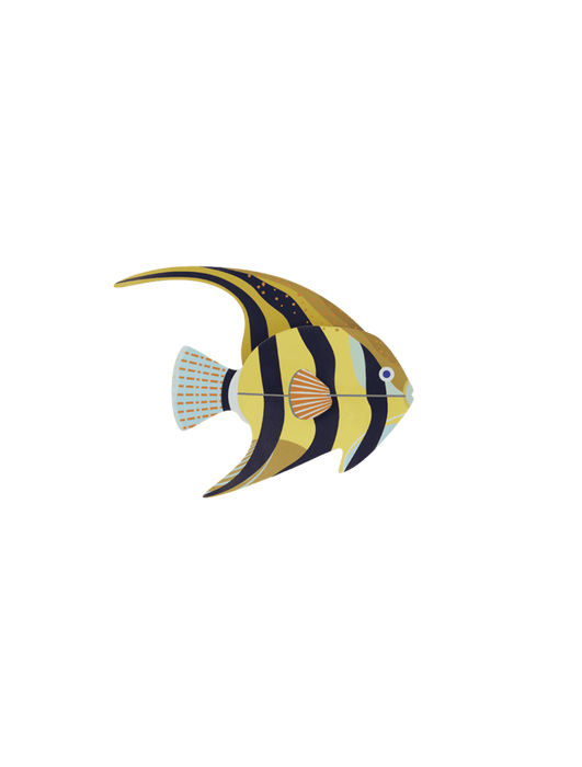 Studio Roof Angelfish