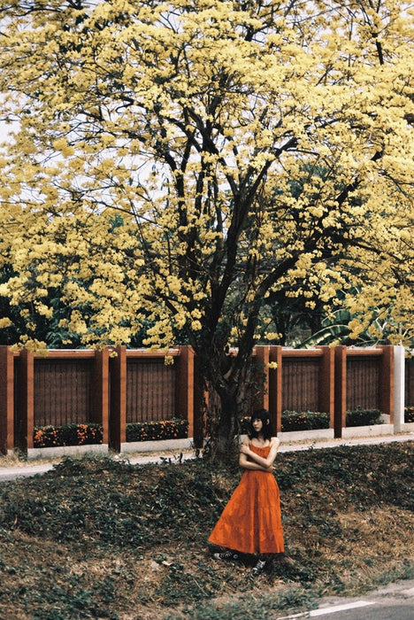 LomoChrome Color 92 Sun-kissed 35 mm ISO 400