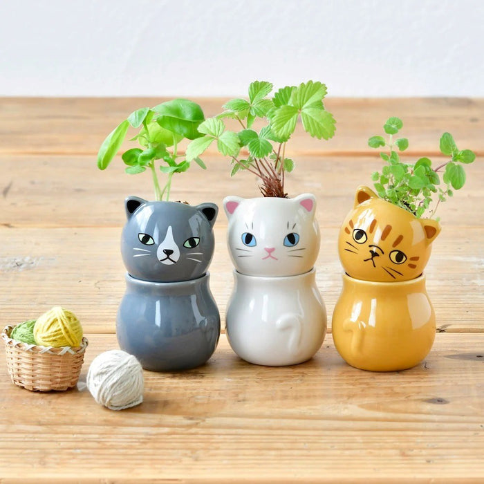 Corocoro Cat Planter