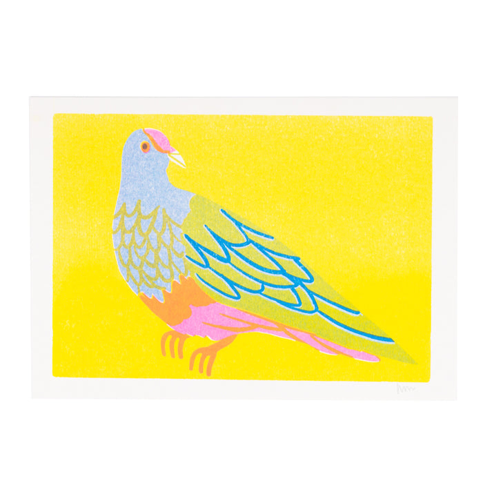 Fruit Dove Print