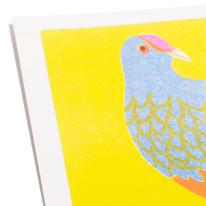 Fruit Dove Print