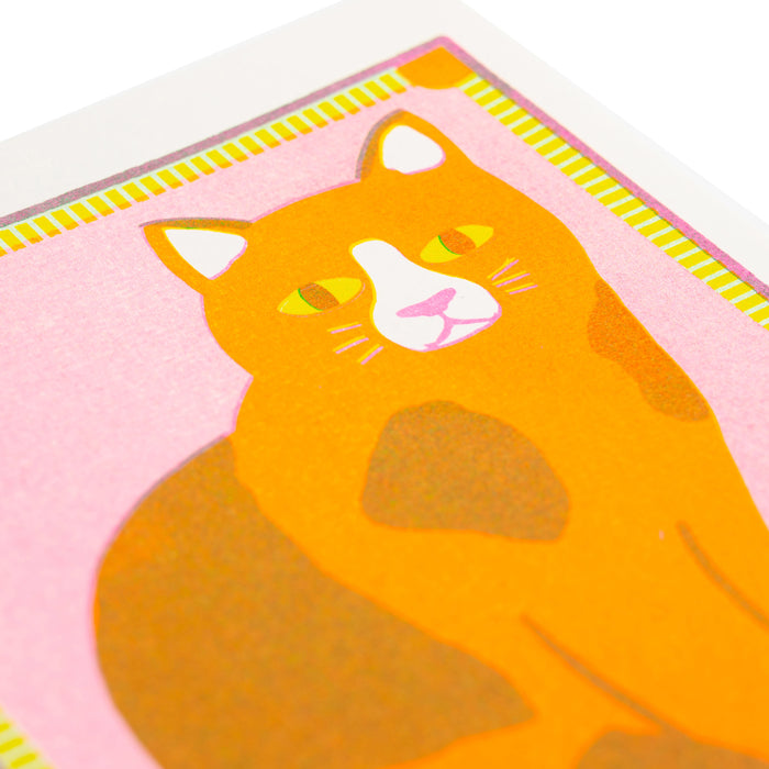 Orange Patchy Cat Mini Print