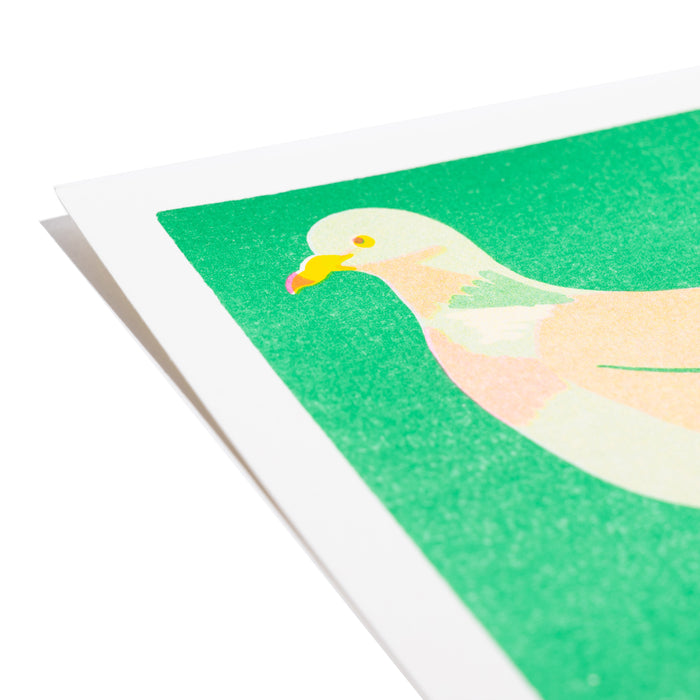 Wood Pigeon Mini Print