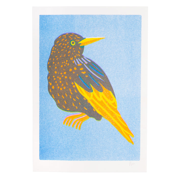 Starling Print