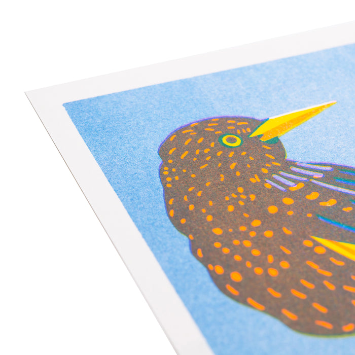Starling Print
