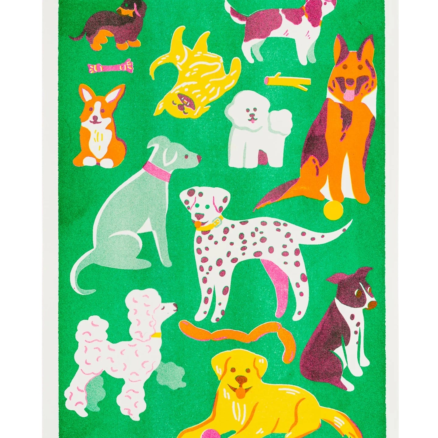 Colorful illustration of various dogs on a green background