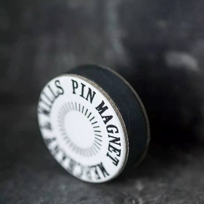 Pin Magnet
