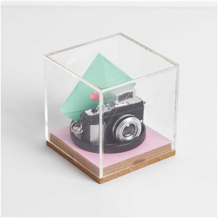 Miniature Camera