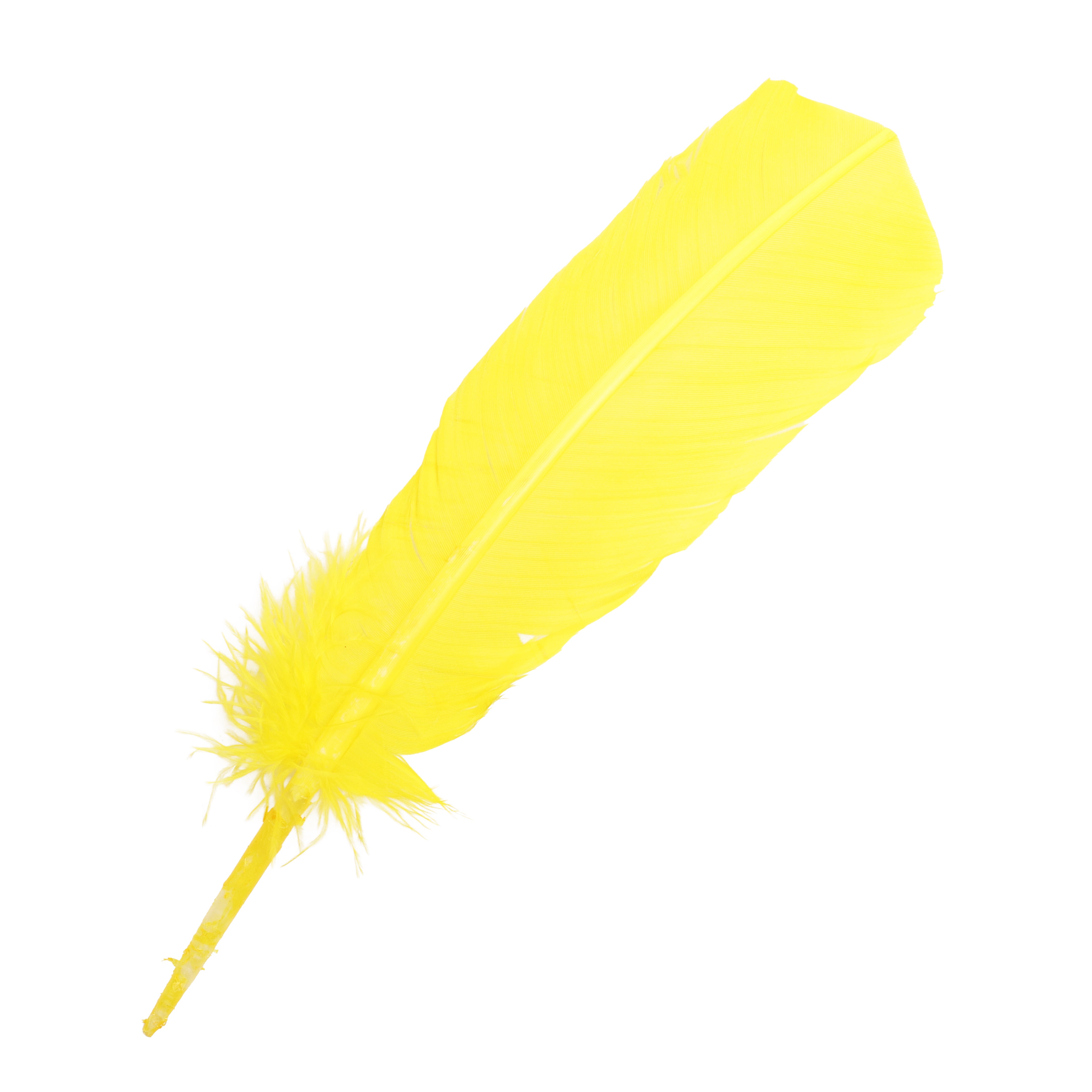 Quill Feathers 12 Pk