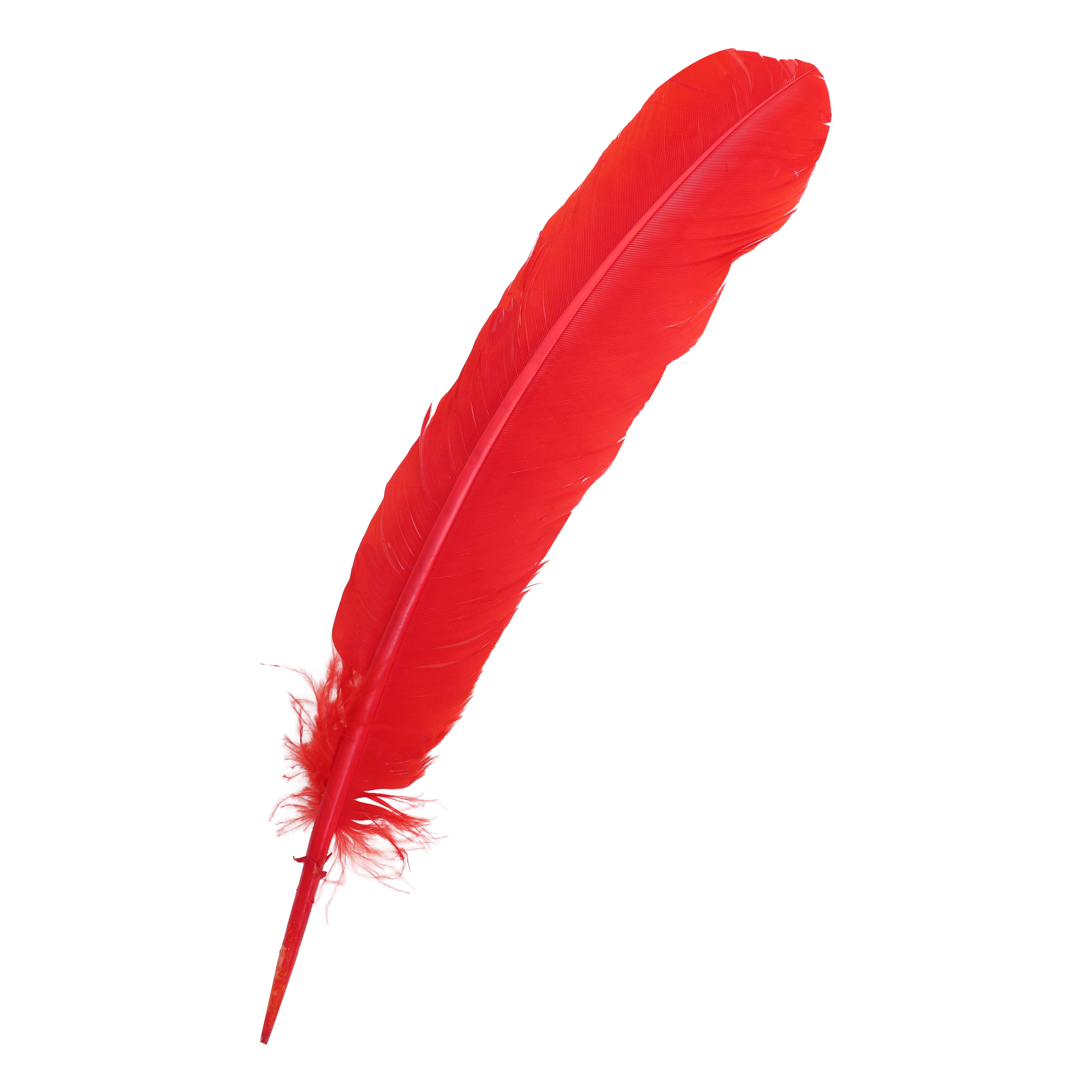 Quill Feathers 12 Pk
