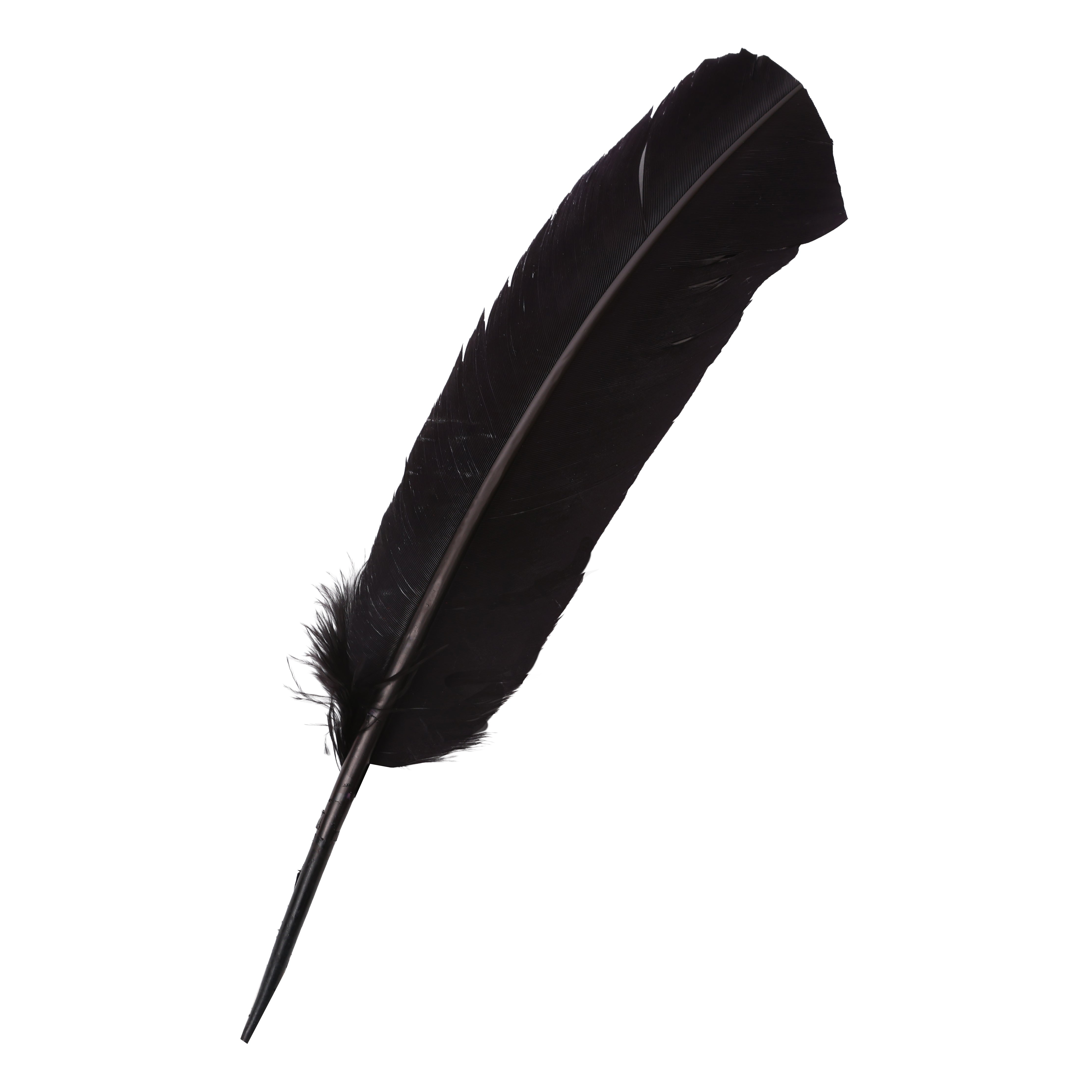 Quill Feathers 12 Pk