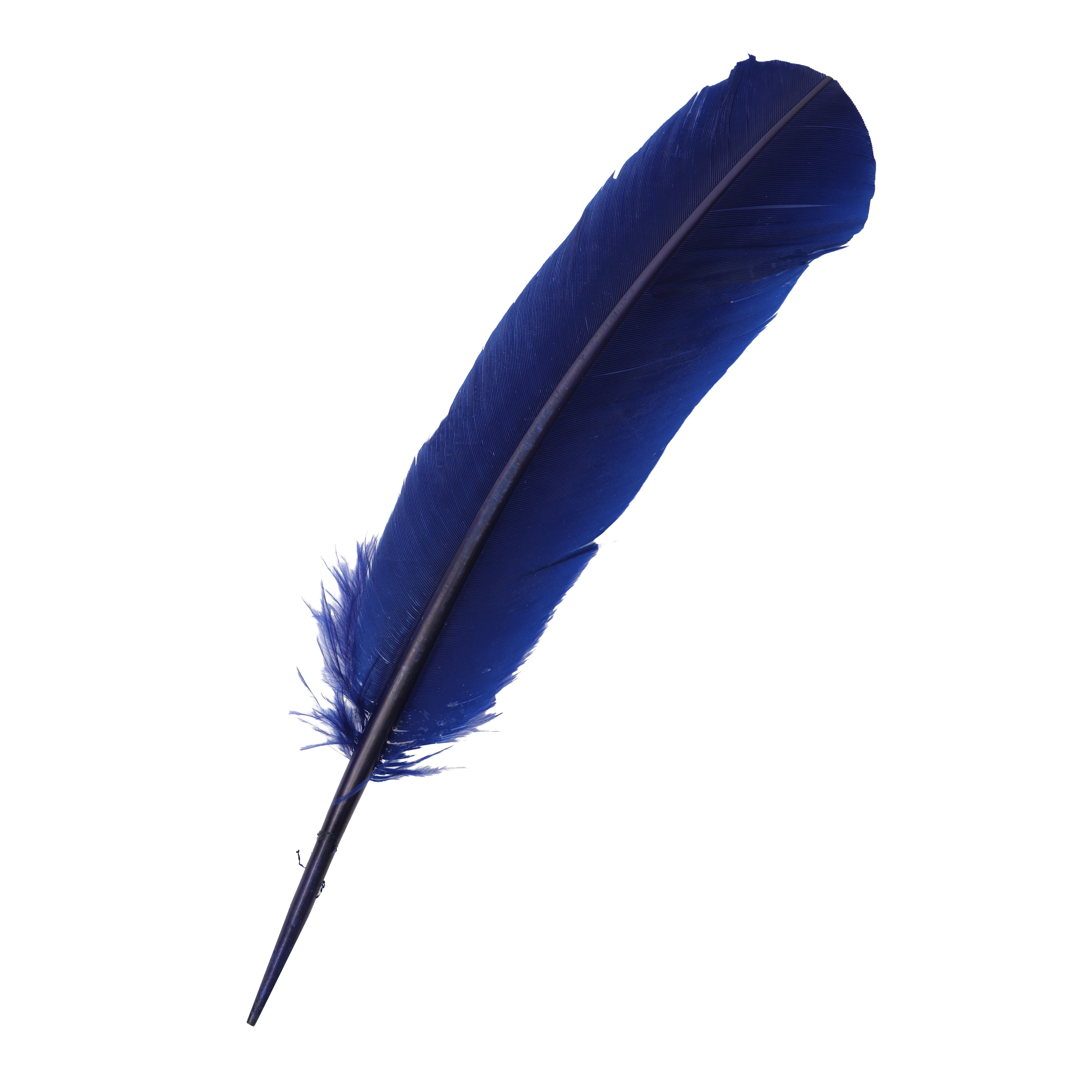 Quill Feathers 12 Pk