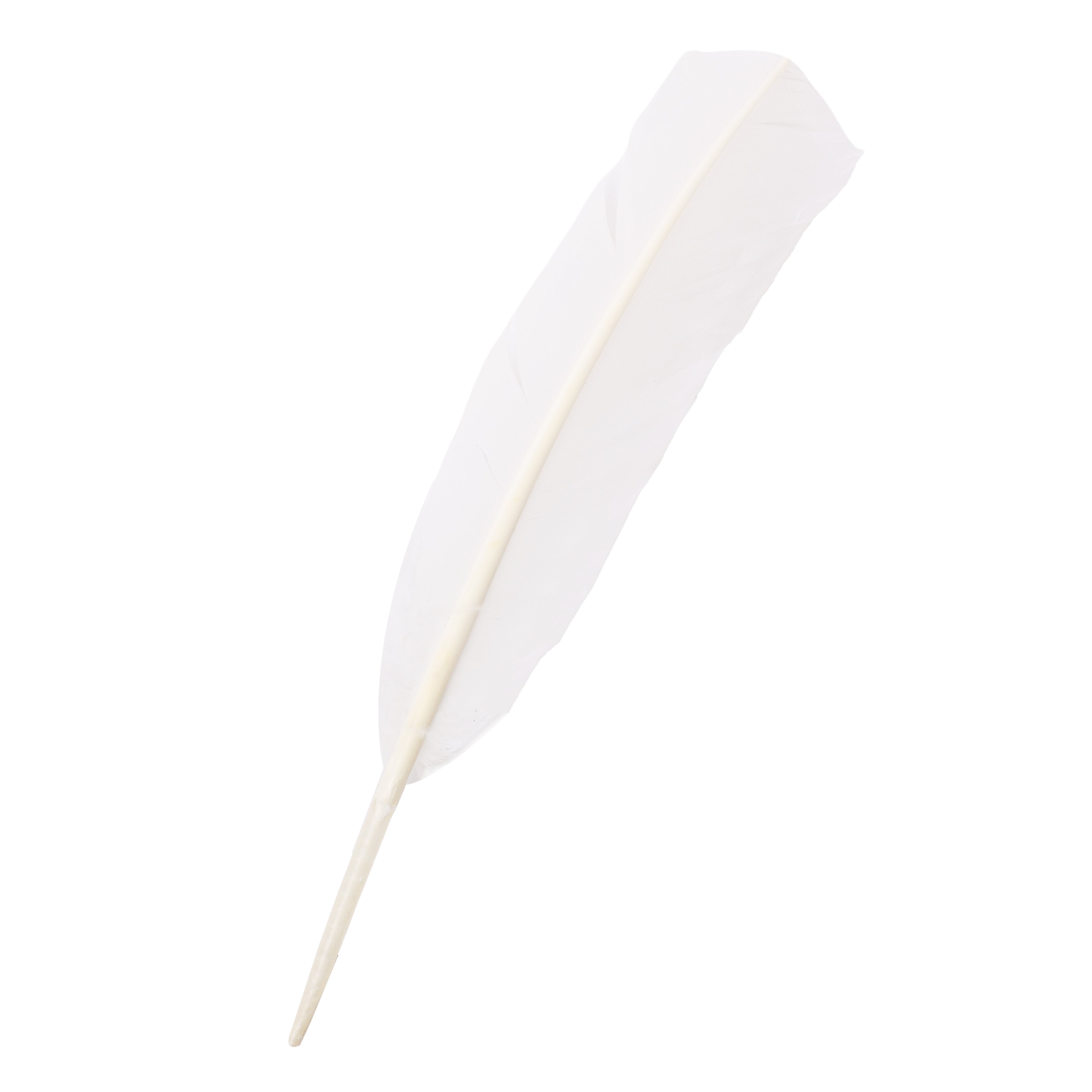 Quill Feathers 12 Pk