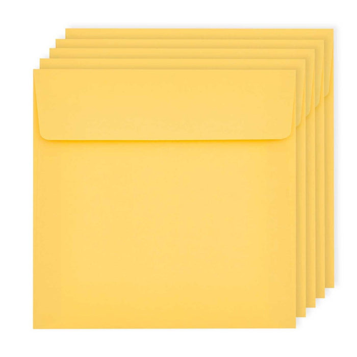 Rico Paper Poetry Luxury 5 Q Envelopes
