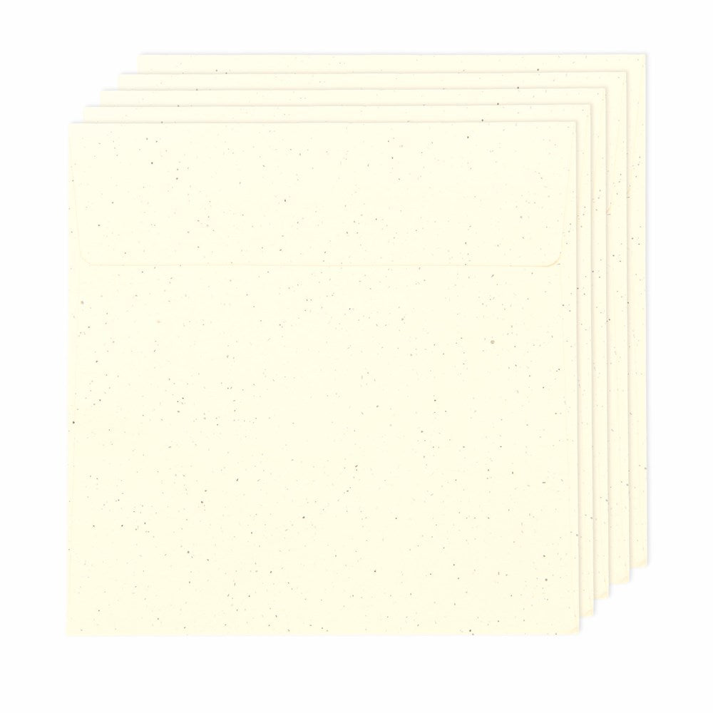 Rico Paper Poetry Renew 5 Envelopes qd