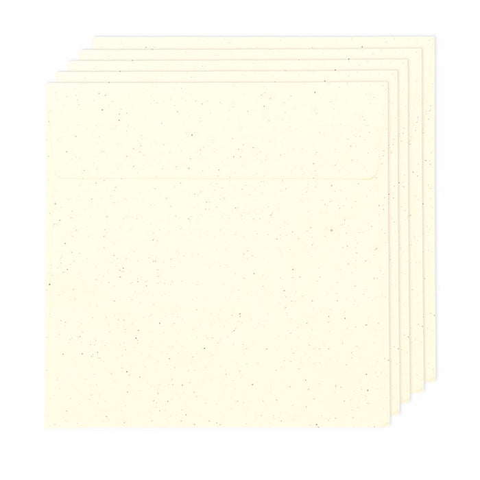 Rico Paper Poetry Renew 5 Envelopes qd