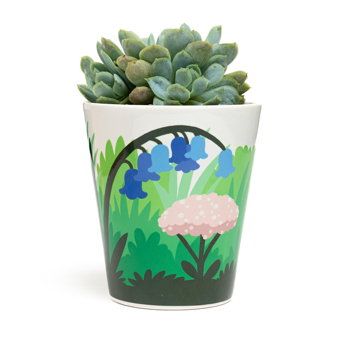Fred Aldous Bluebell Plant Pot