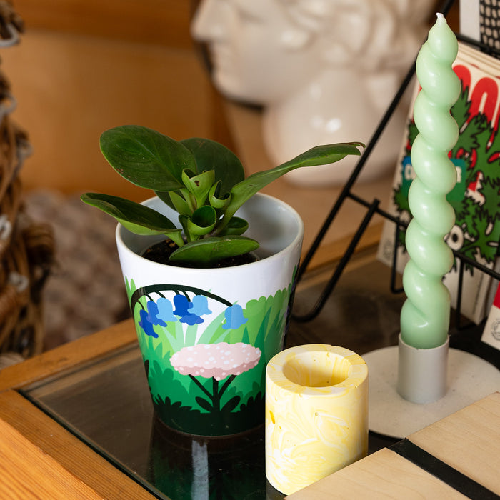 Fred Aldous Bluebell Plant Pot