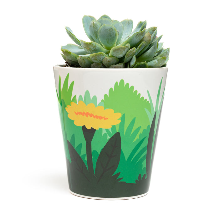 Fred Aldous Bluebell Plant Pot