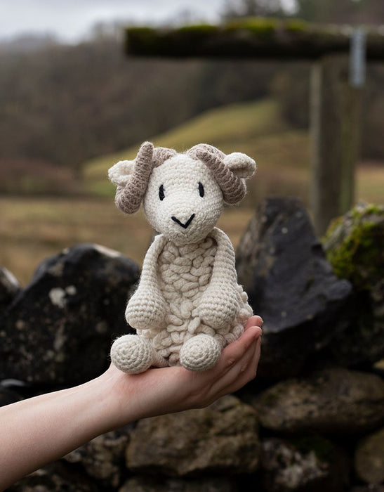 Bryn the Welsh Mountain Sheep Kit