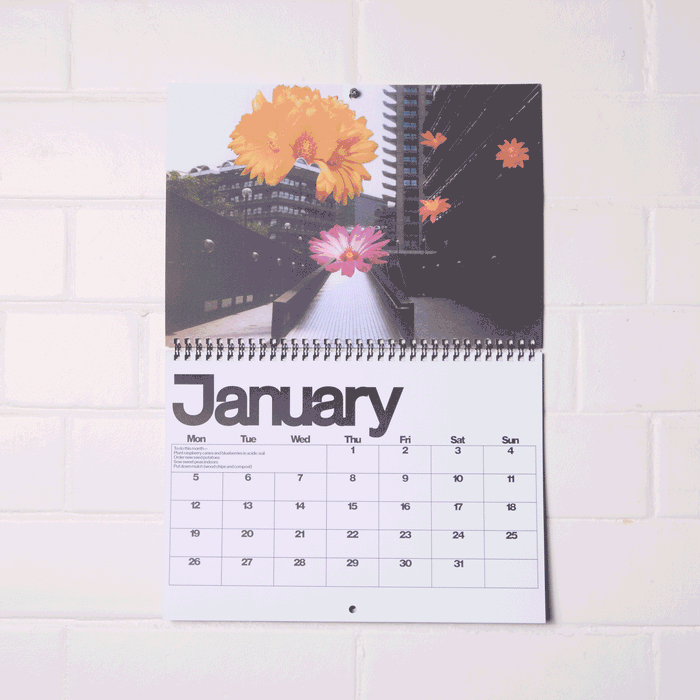 Brutalist Botany - 2026 Calendar