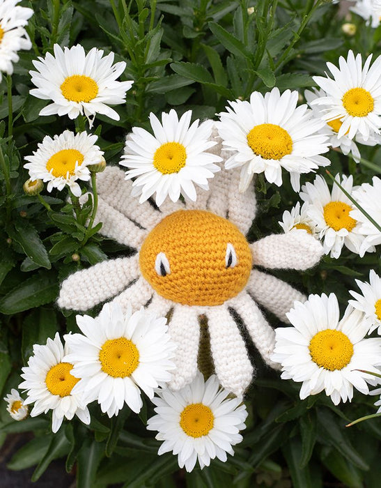 Crochet Your Own Daisy Kit