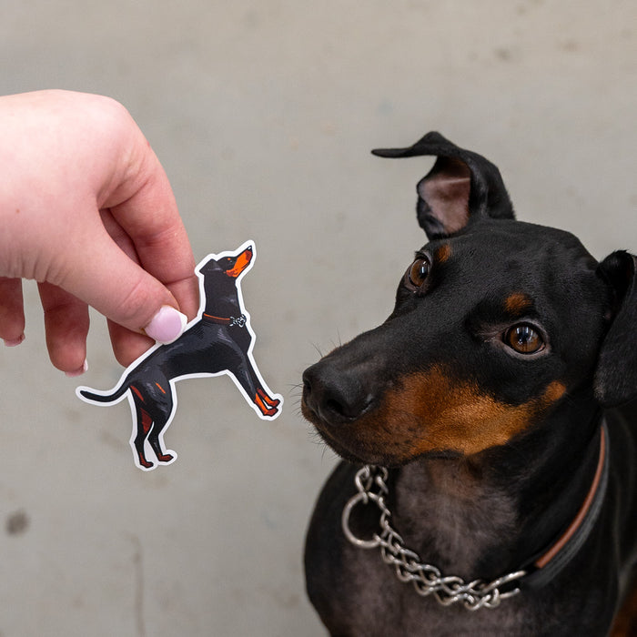 Fred Aldous X Hammo Dogs Sticker Pack