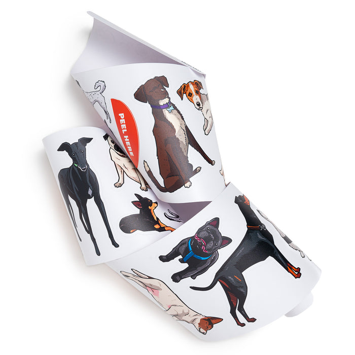 Fred Aldous X Hammo Dogs Sticker Pack Medium