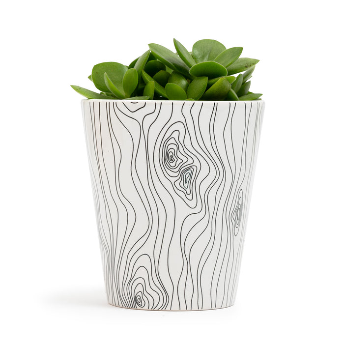 Wood Grain Plant Pot