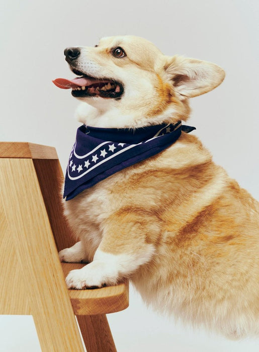 Dog Scarf - Recycled