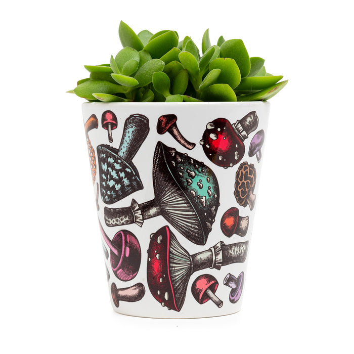 Mushroom Plant Pot