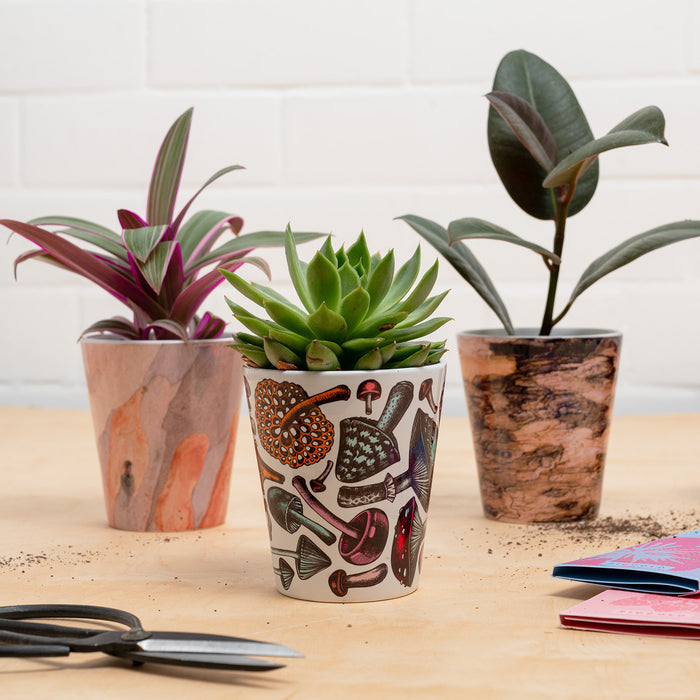Mushroom Plant Pot
