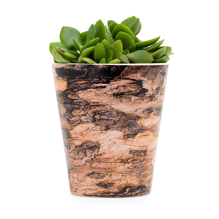 Tree Bark Plant Pot - Sycamore