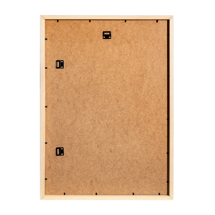 Picture Frame - White - A2