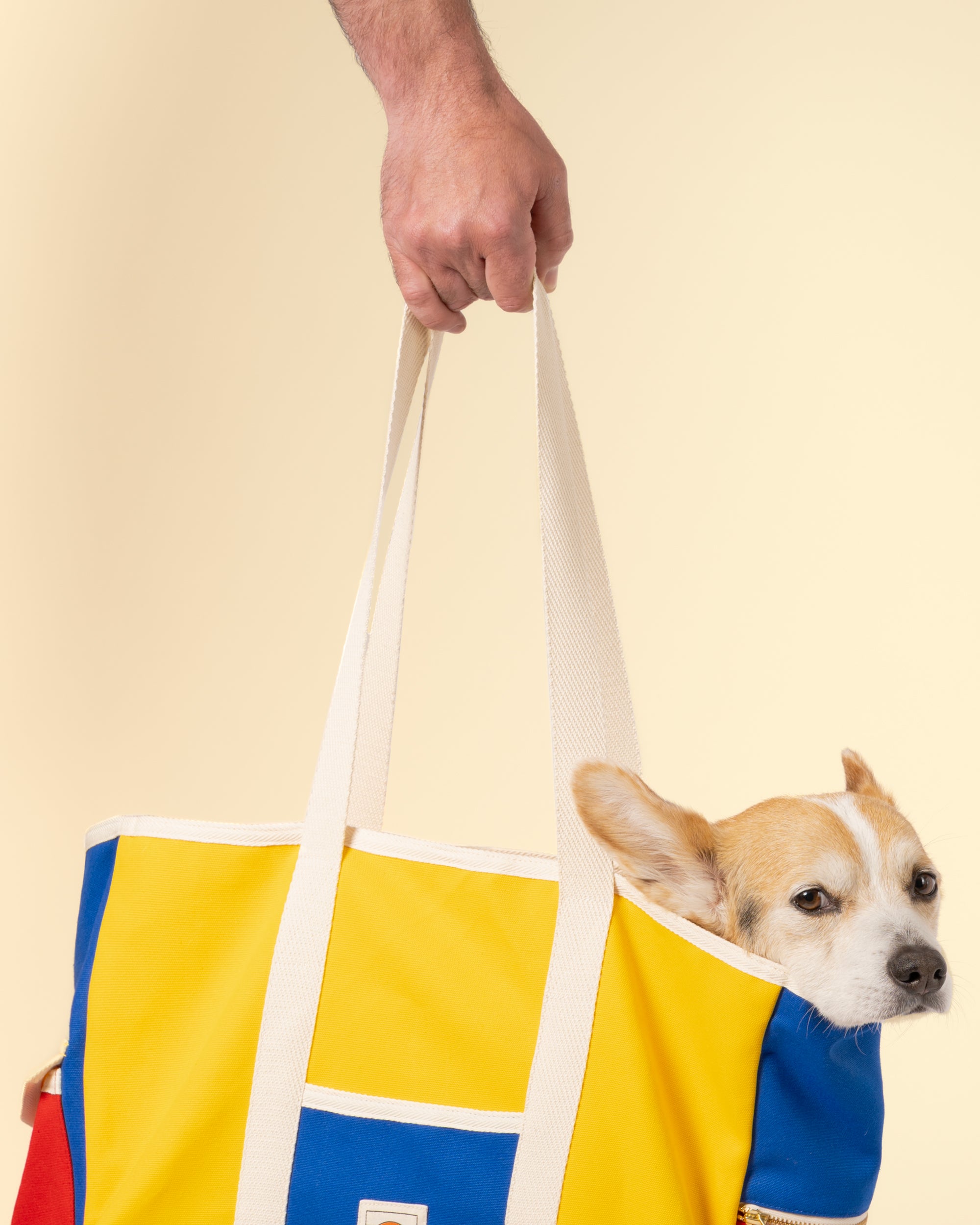 Person holding a colorful tote bag with a dog peeking out from inside on a beige background