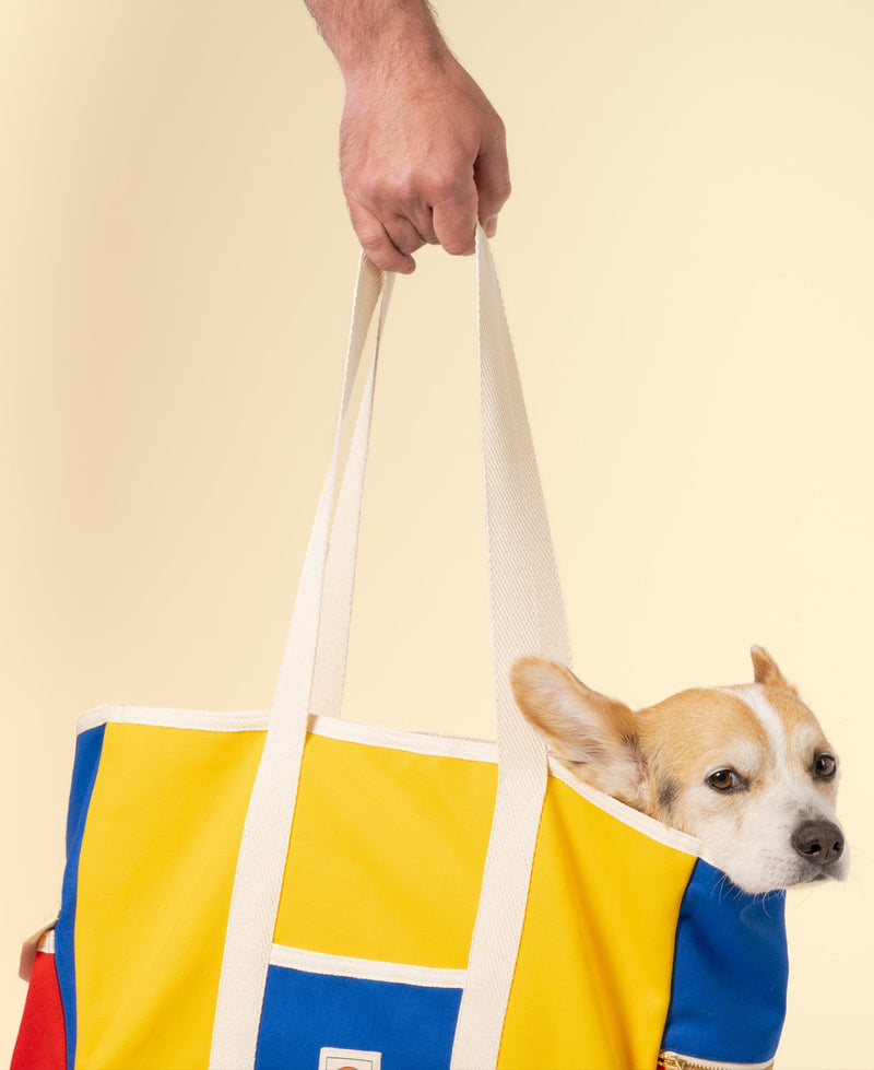 Person holding a colorful tote bag with a dog peeking out from inside on a beige background