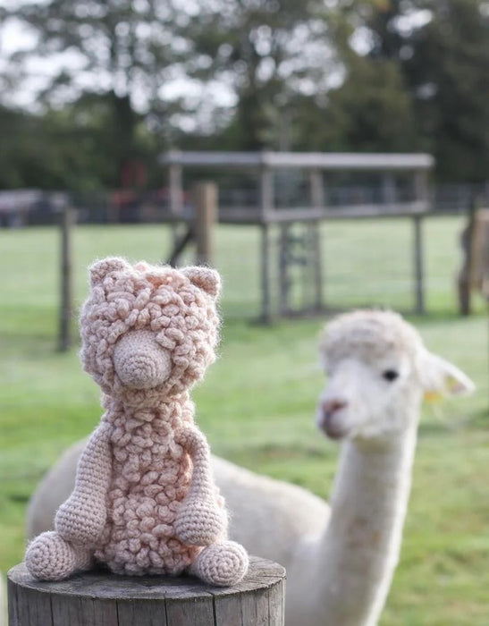 Quin the Huacaya Alpaca Kit