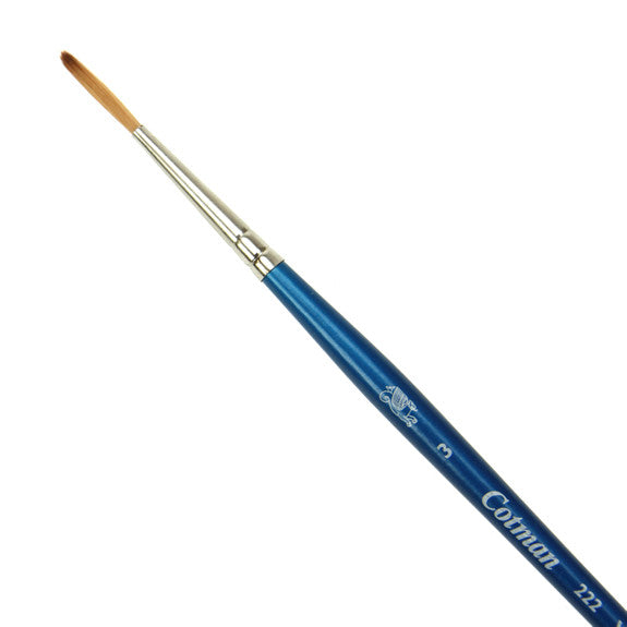 W&N - Cotman Brush Series 222 Designers'