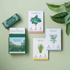 Open pack of cards.