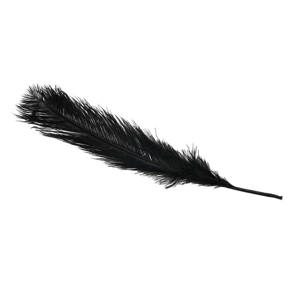 Ostrich Feathers Medium Black