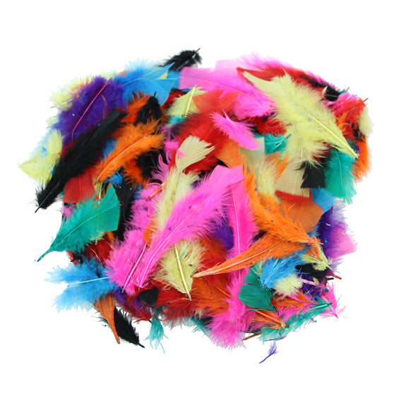 Assorted Coloured Feathers 50g