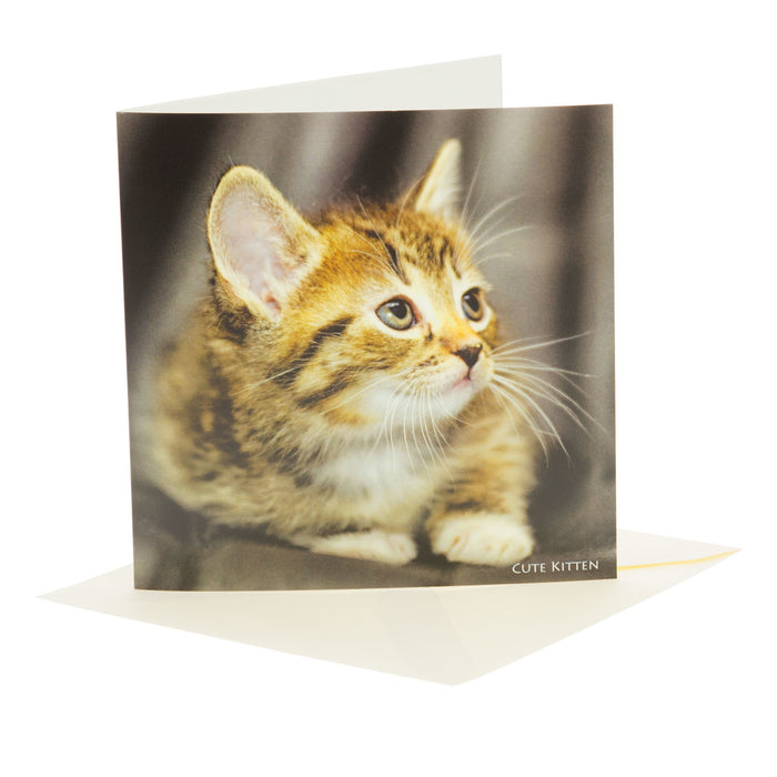Sound Card - Cute Kitten