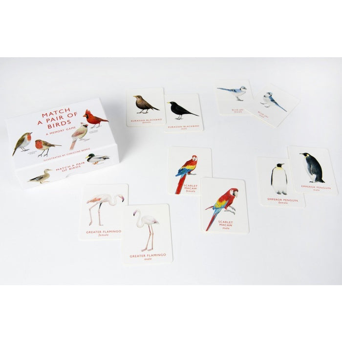 Match A Pair Of Birds