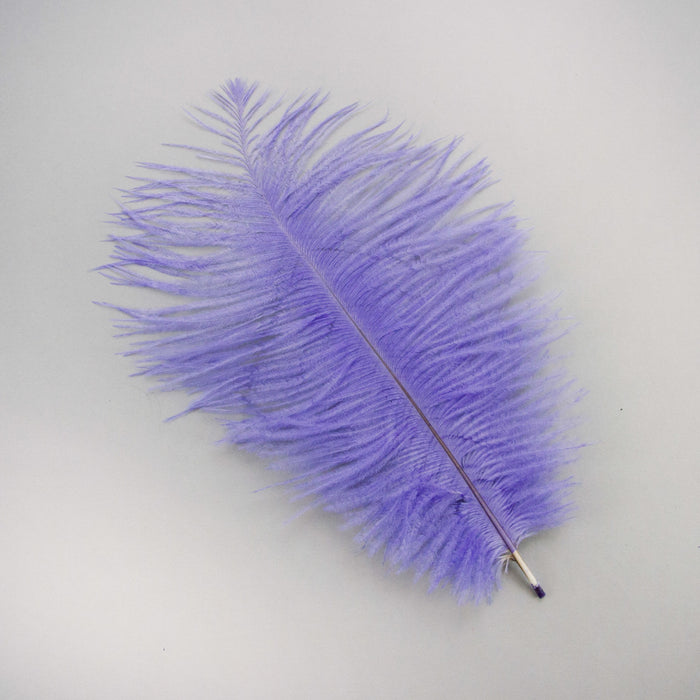 Small Ostrich Feather