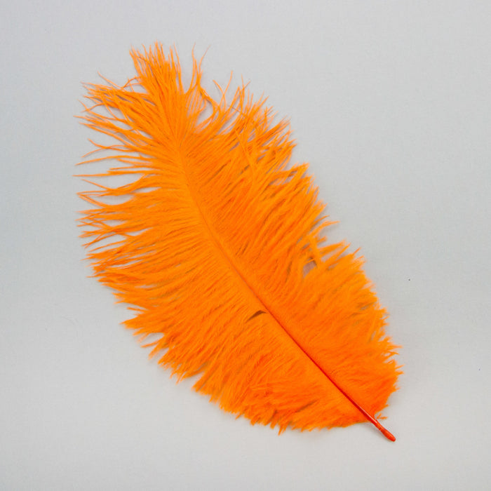 Small Ostrich Feather
