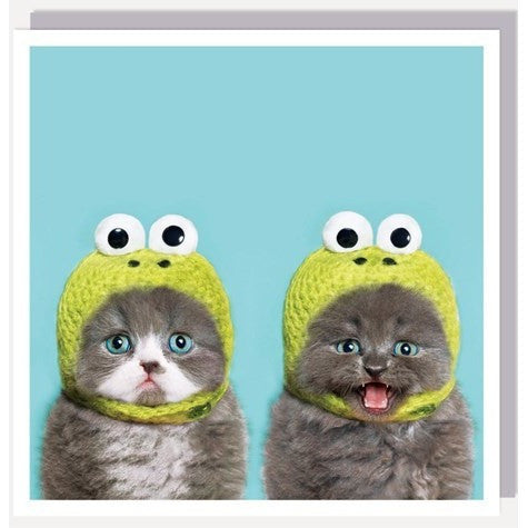1000 Words Card Frog Cats